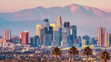 14 Downtown Los Angeles Companies You Should Know Thumbnail