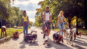 Modern Animal Raises $46M to Redefine Pet Healthcare Thumbnail