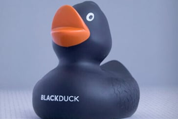 Black Duck Thumbnail