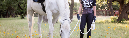 The Horsewise Company