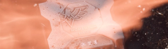 Momentum IoT