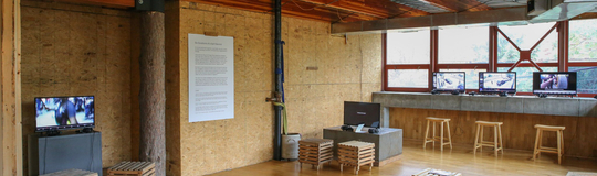 Invisible Institute