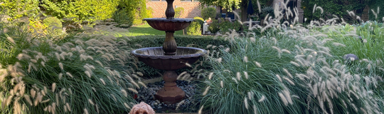 Rise Gardens Inc