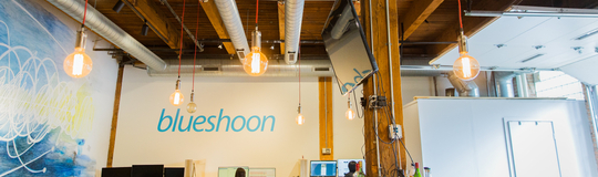 Blueshoon, inc.
