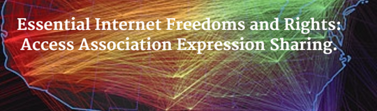 Association of Internet Users