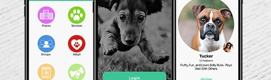 Global Dog