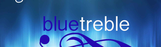 Blue Treble Solutions LLC