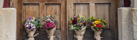 Flowers for Dreams