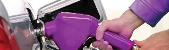 Purple Services Inc