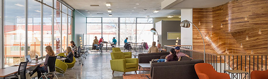 ICElab