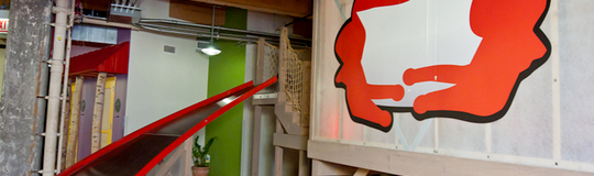 Red Frog Events