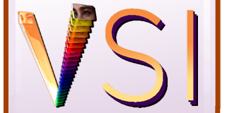 VSI Video LLC