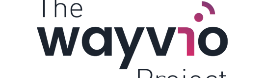 the WAYVIO project