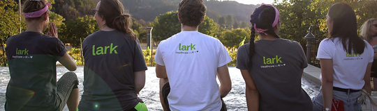 Lark Health