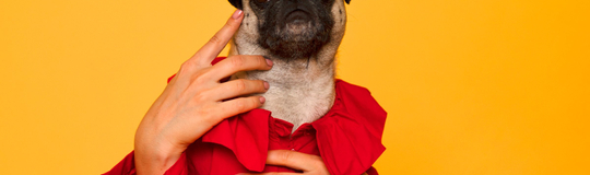 MeanPug Digital