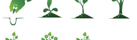 GlobalQuest Ventures