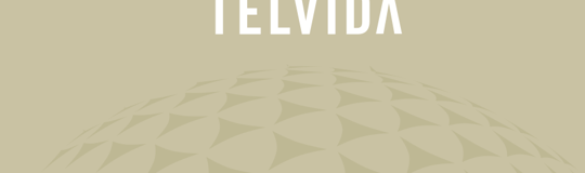 Telvida, Inc.