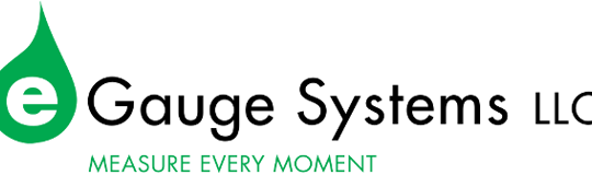 eGauge Systems LLC