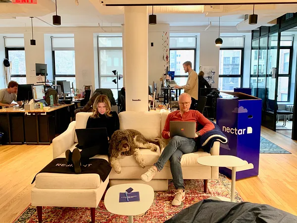 Company Office