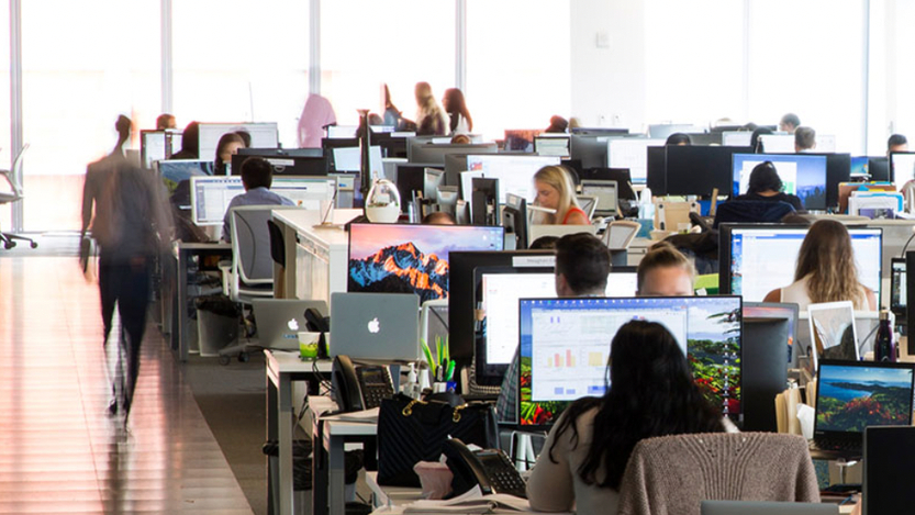 Company Office
