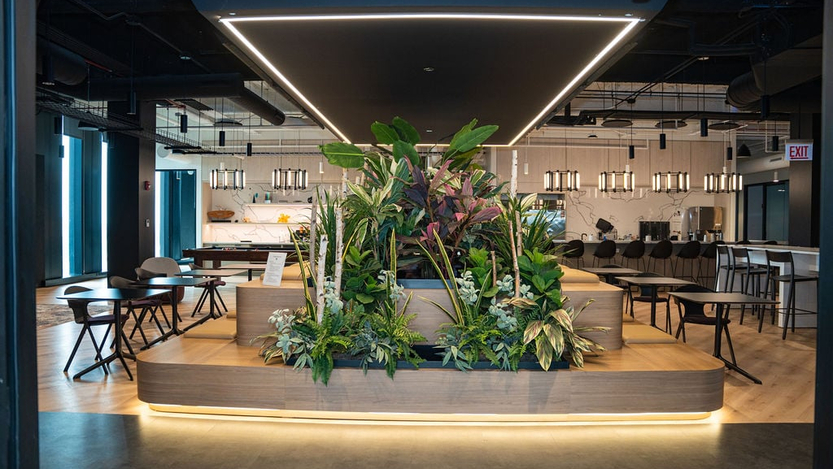 Company Office