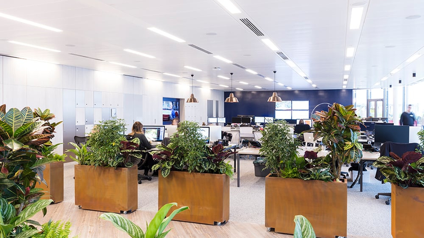 Company Office