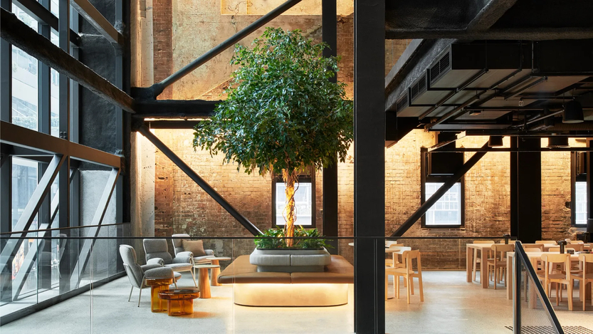 Company Office