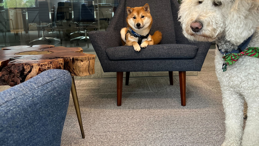 Company Office