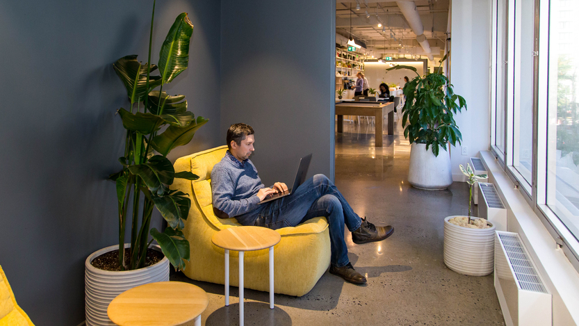 Company Office
