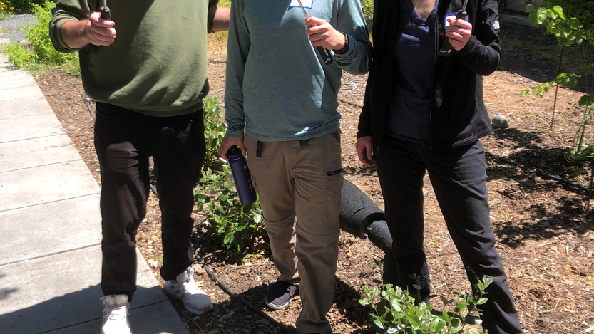impactday-05-17_0.jpg