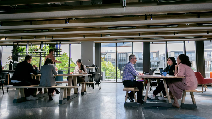 Company Office