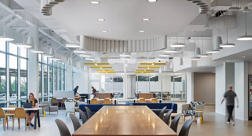 Company Office