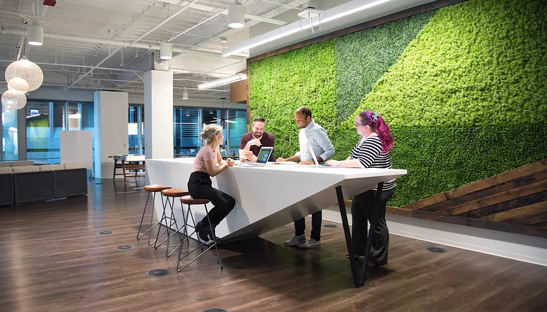 Company Office