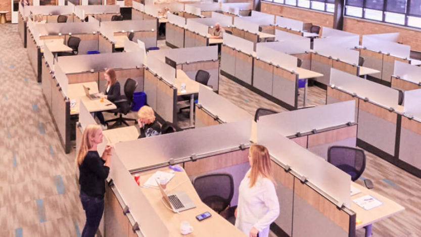 Company Office
