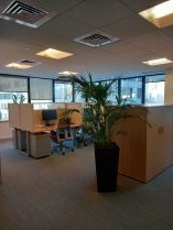 Company Office