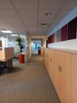 Company Office