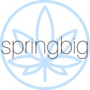 springbig Logo