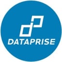 Dataprise Logo