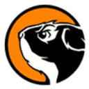 Streamline Studios Logo