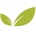WellRight Logo