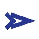 TeleSolv Consulting Logo