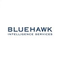 Bluehawk Logo