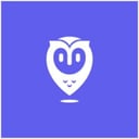 Placer.ai Logo