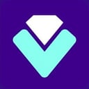 Voldex Logo