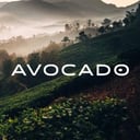 Avocado Logo