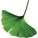 BowerGroupAsia Logo