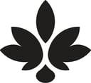 Salve Logo