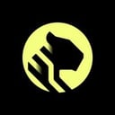 TigerData Logo