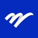 ERP Success Partners Logo