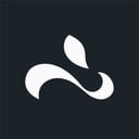 Whiterabbit.ai Logo